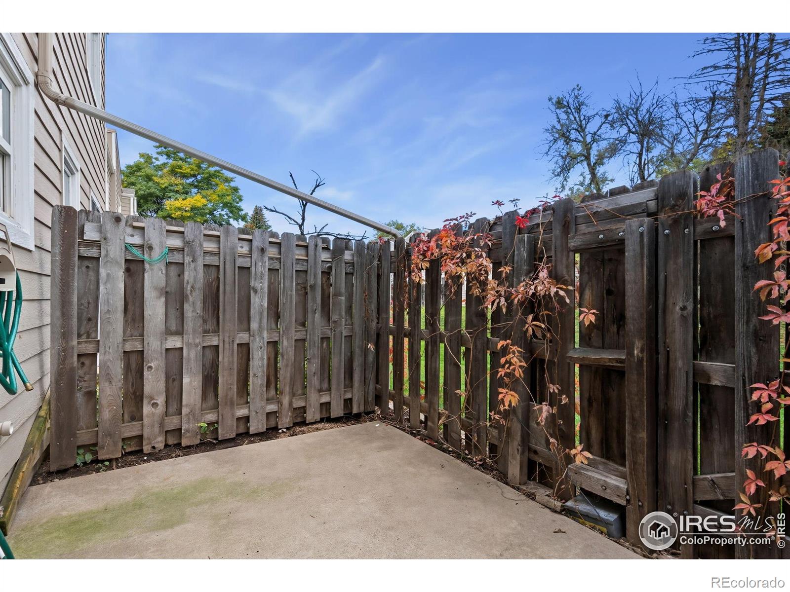 MLS Image #10 for 3005  ross drive,fort collins, Colorado