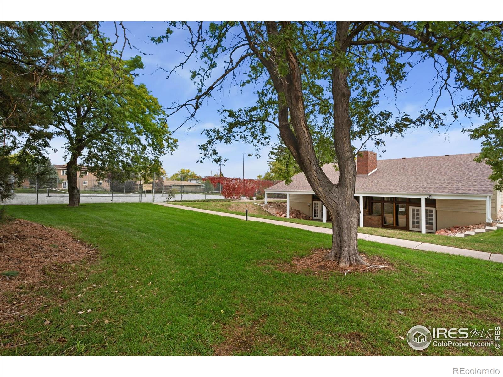 MLS Image #12 for 3005  ross drive,fort collins, Colorado