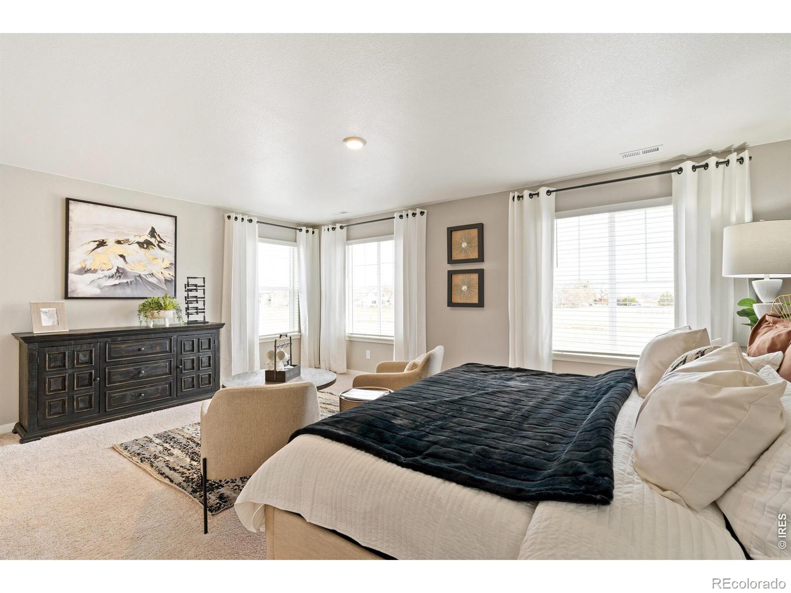 MLS Image #12 for 5003  buelingo drive,windsor, Colorado