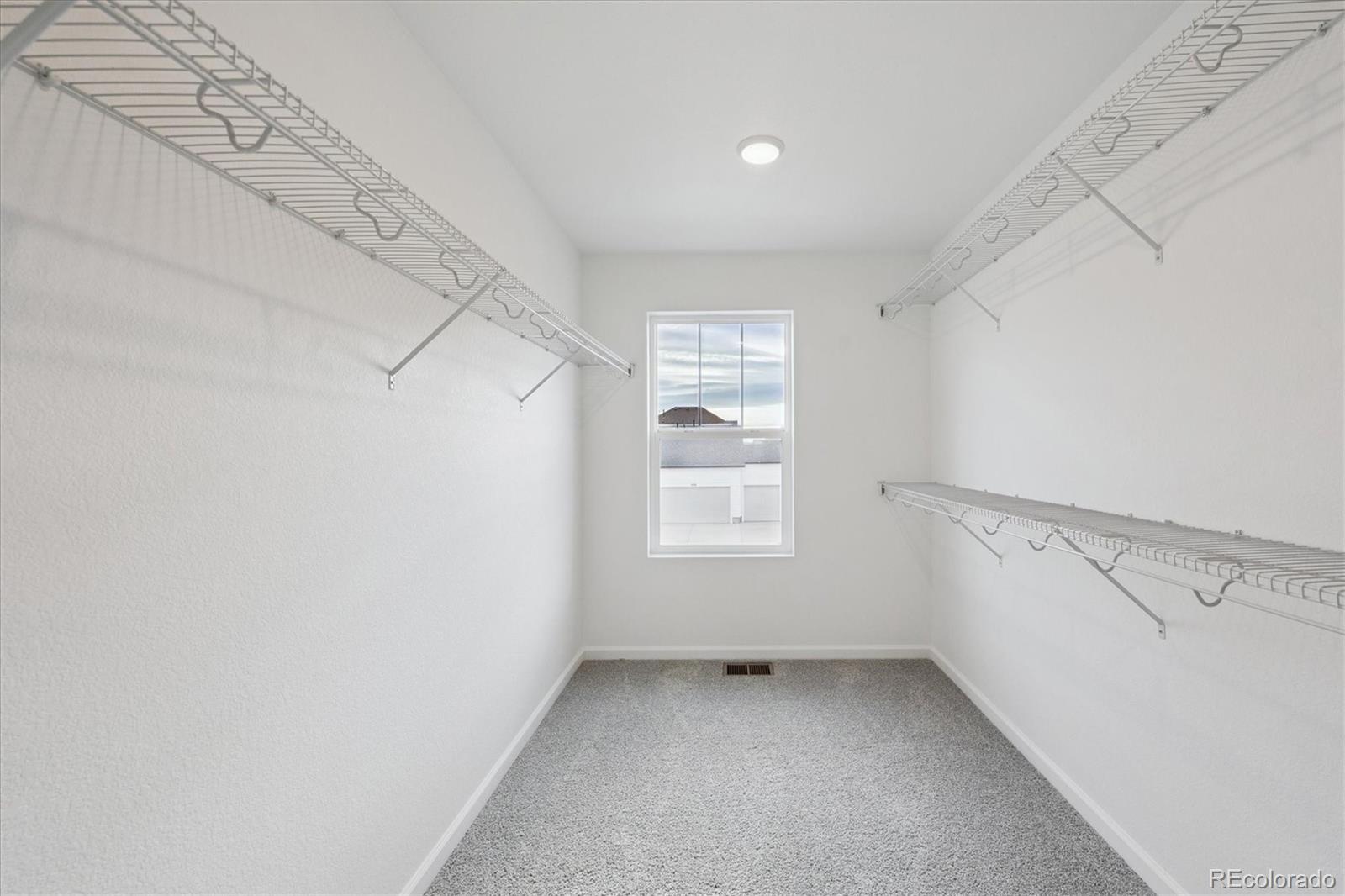 MLS Image #15 for 5635  brangus drive,windsor, Colorado