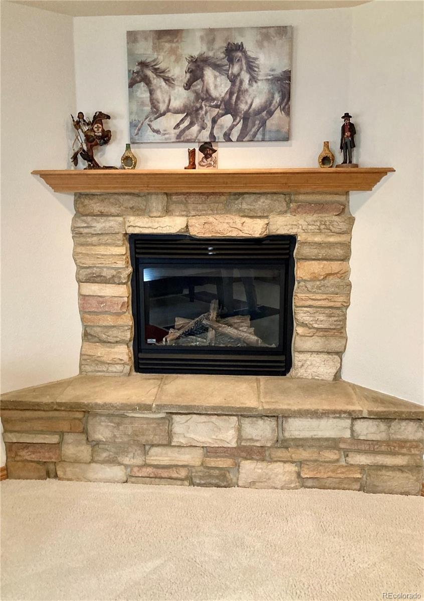MLS Image #20 for 3471  plantation grove,colorado springs, Colorado