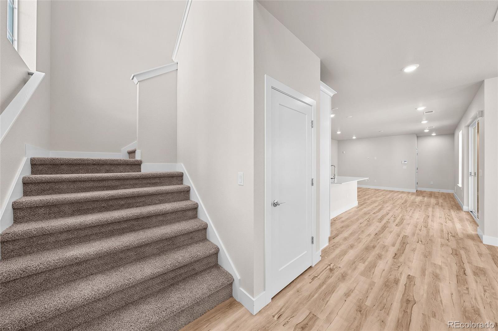MLS Image #3 for 8731  whiteclover street,littleton, Colorado