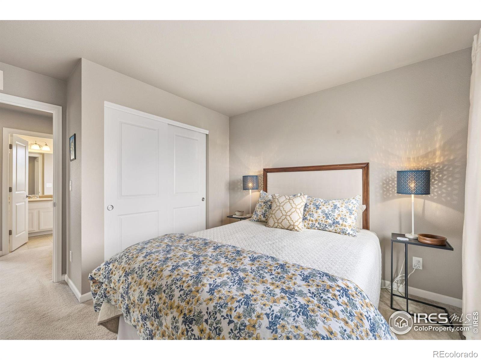 MLS Image #22 for 2942  aries drive,loveland, Colorado