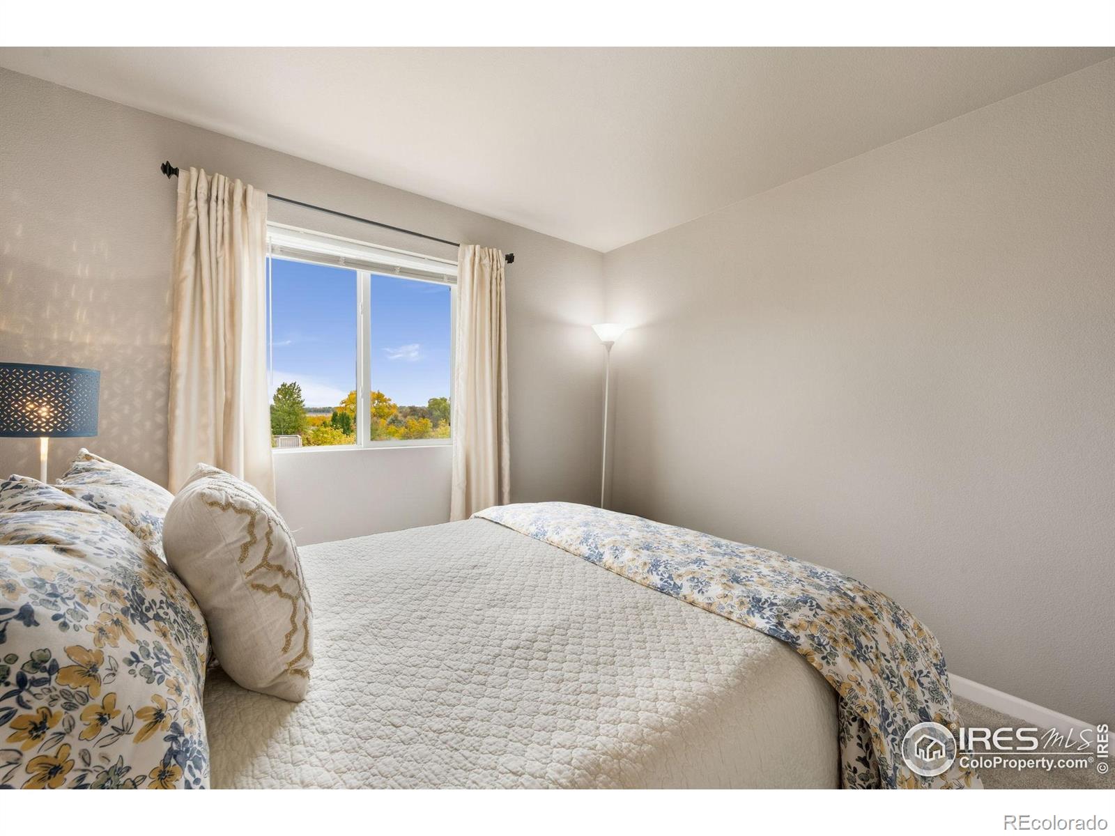 MLS Image #23 for 2942  aries drive,loveland, Colorado