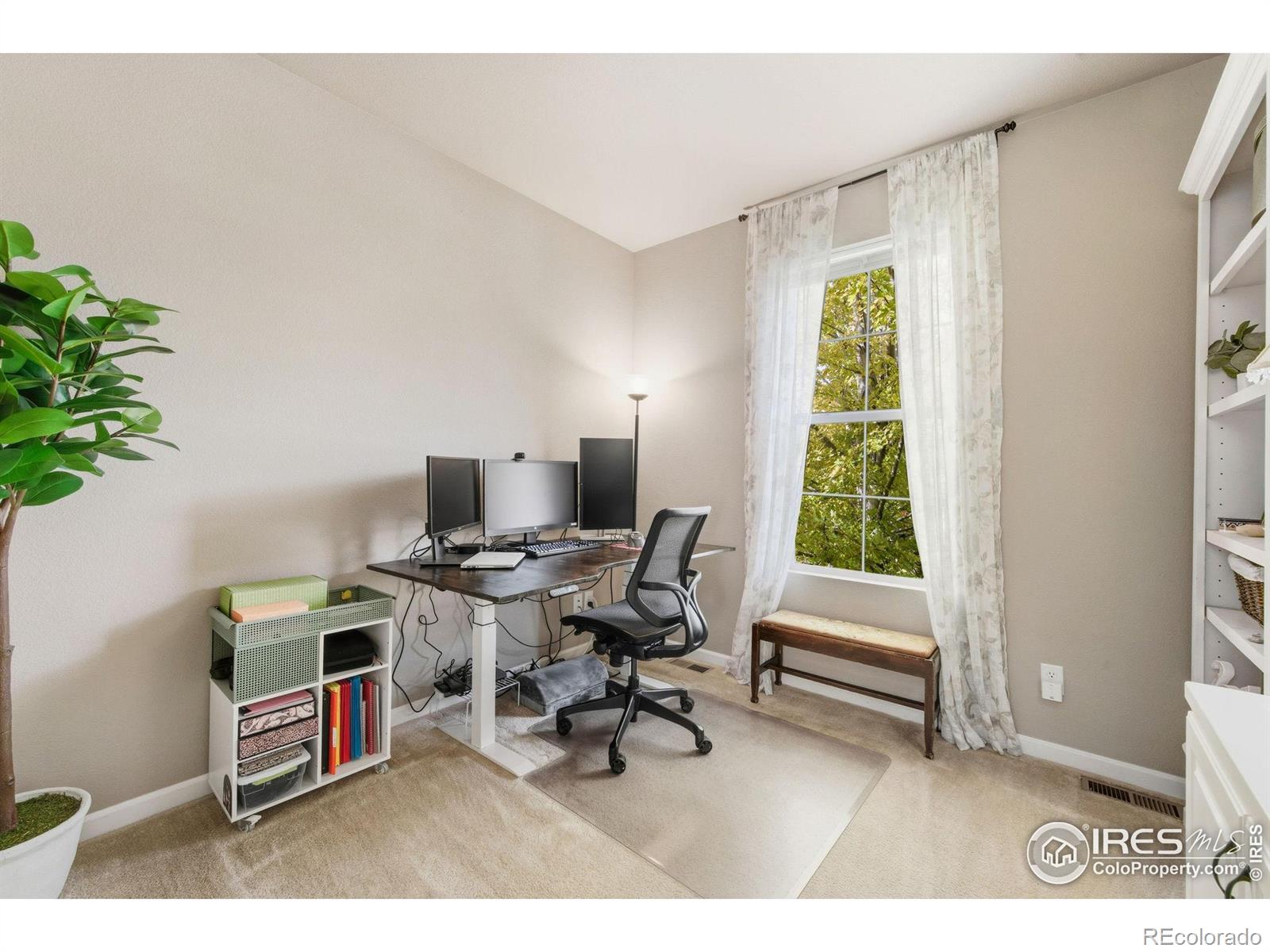 MLS Image #6 for 2942  aries drive,loveland, Colorado