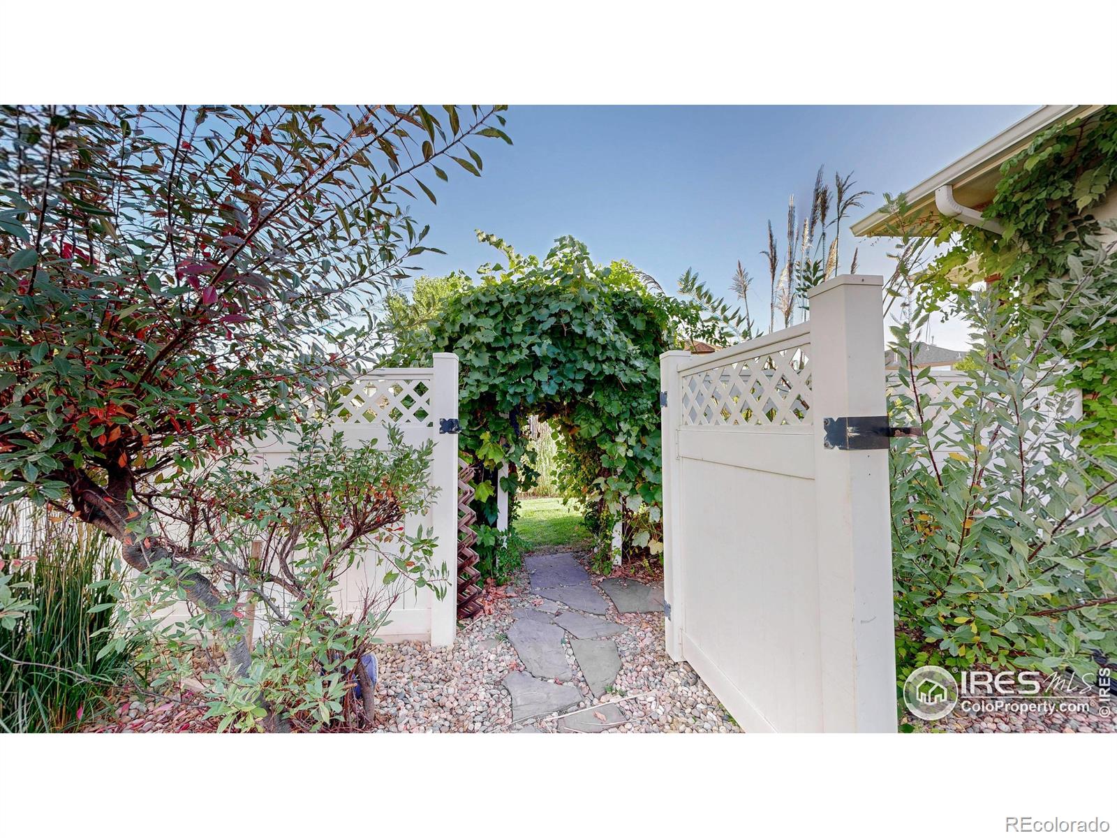 MLS Image #31 for 313  habitat cove,windsor, Colorado