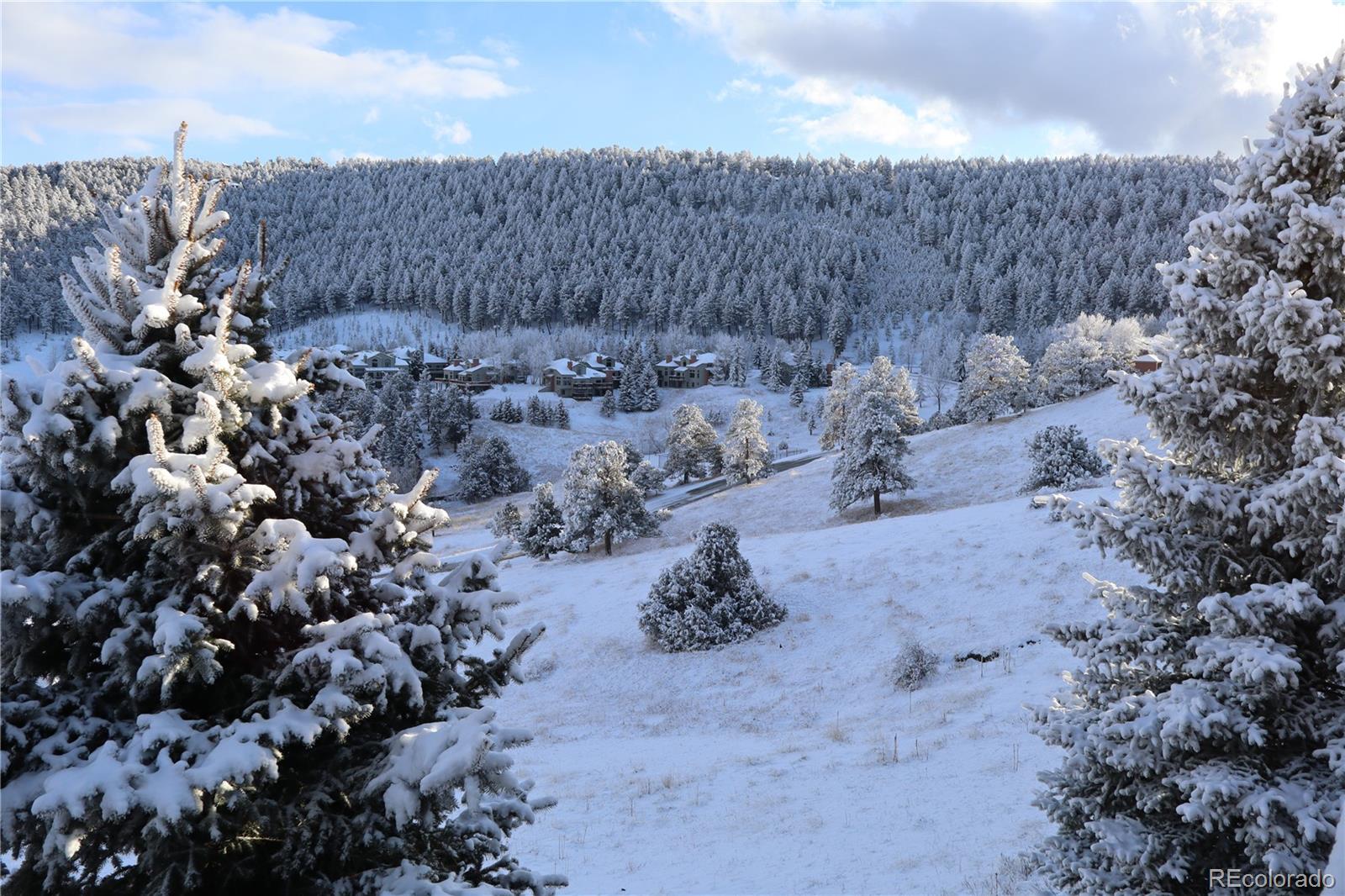 MLS Image #41 for 568  ridgeside drive ,golden, Colorado