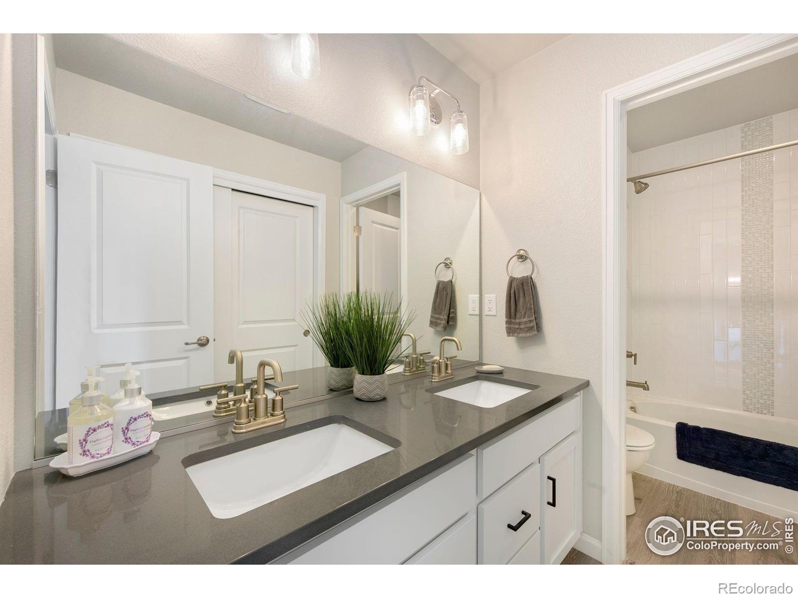 MLS Image #14 for 679  red jewel drive,windsor, Colorado