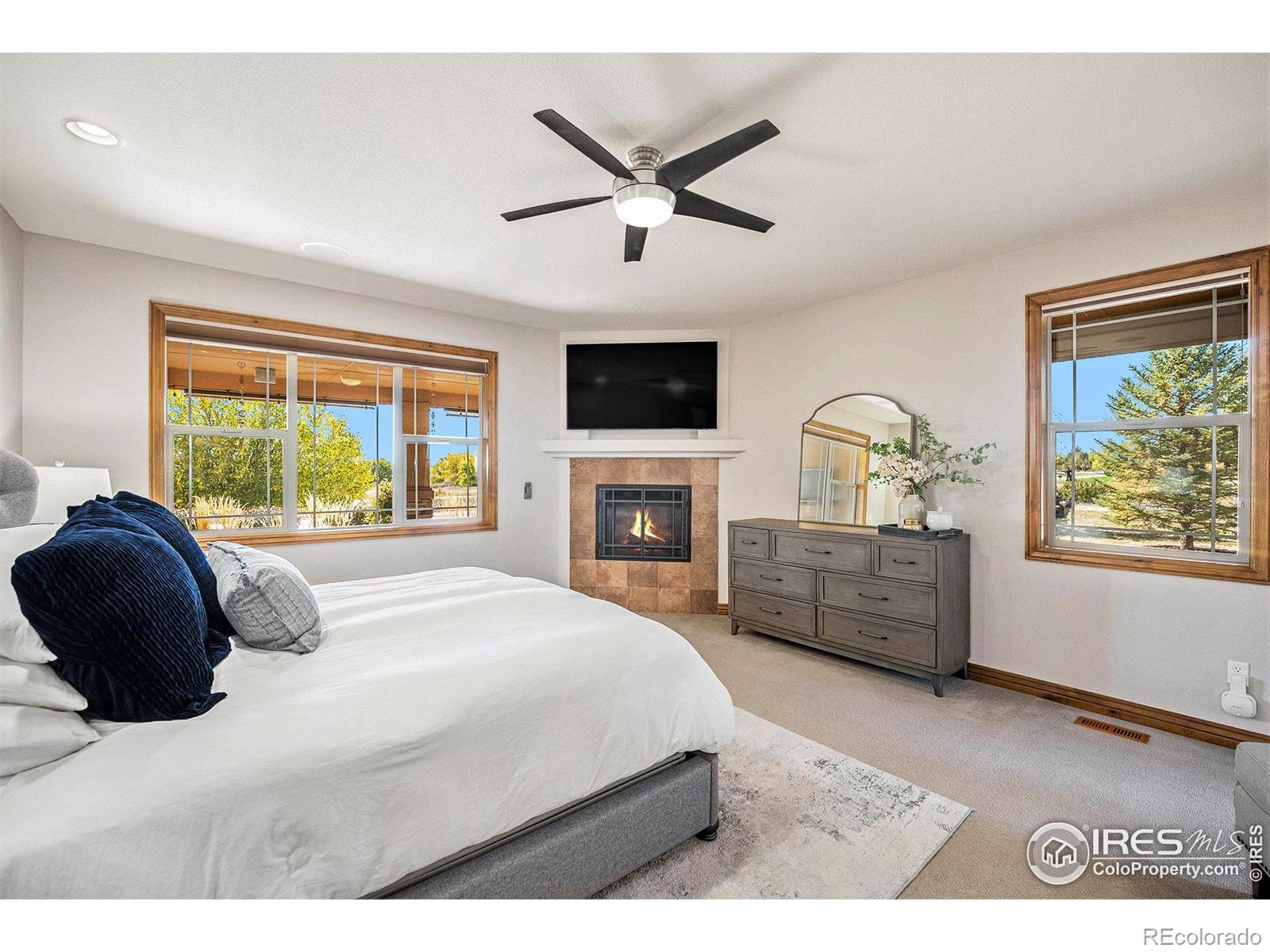 MLS Image #14 for 10305 e 146th place,brighton, Colorado