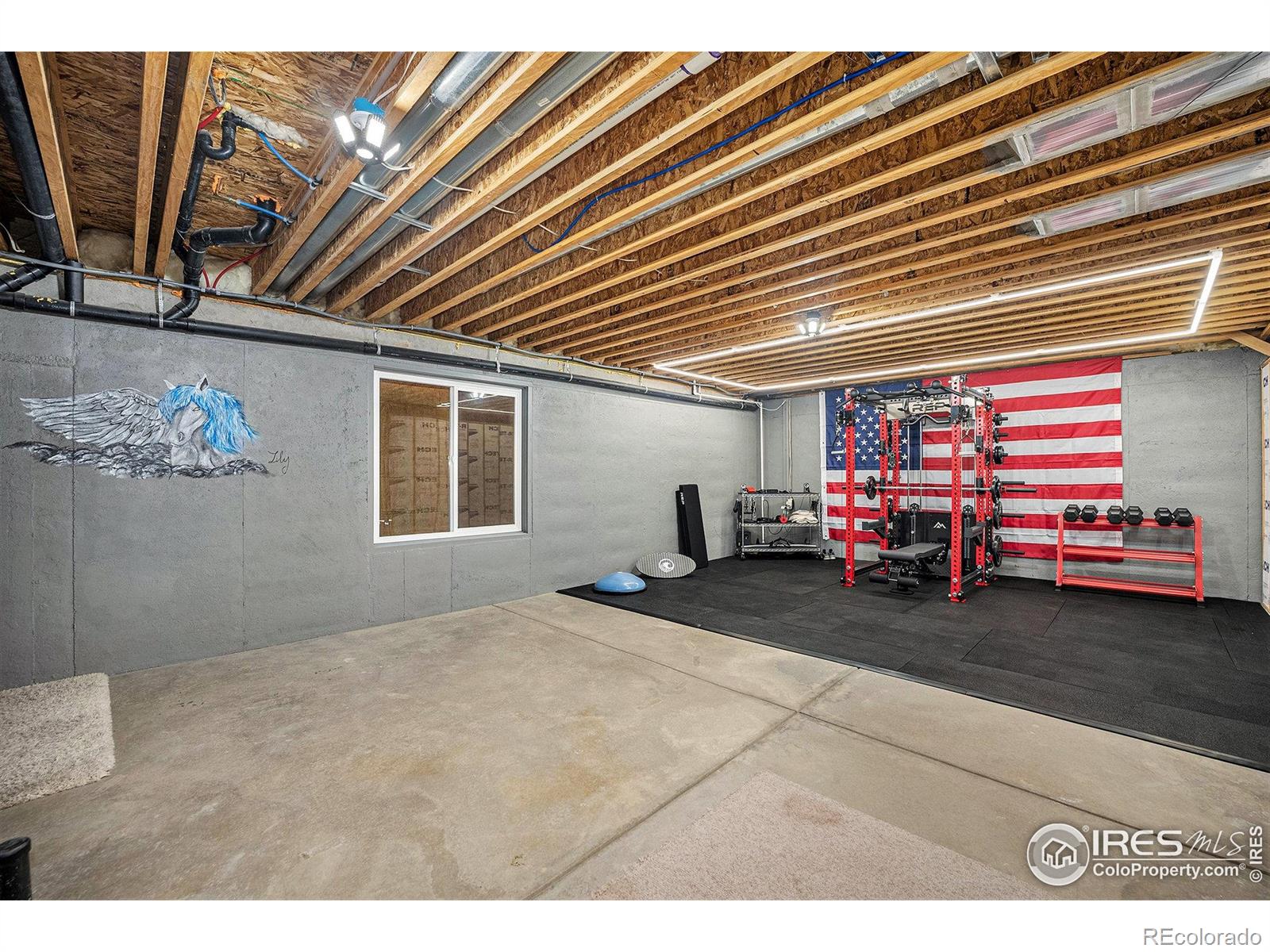 MLS Image #26 for 10305 e 146th place,brighton, Colorado