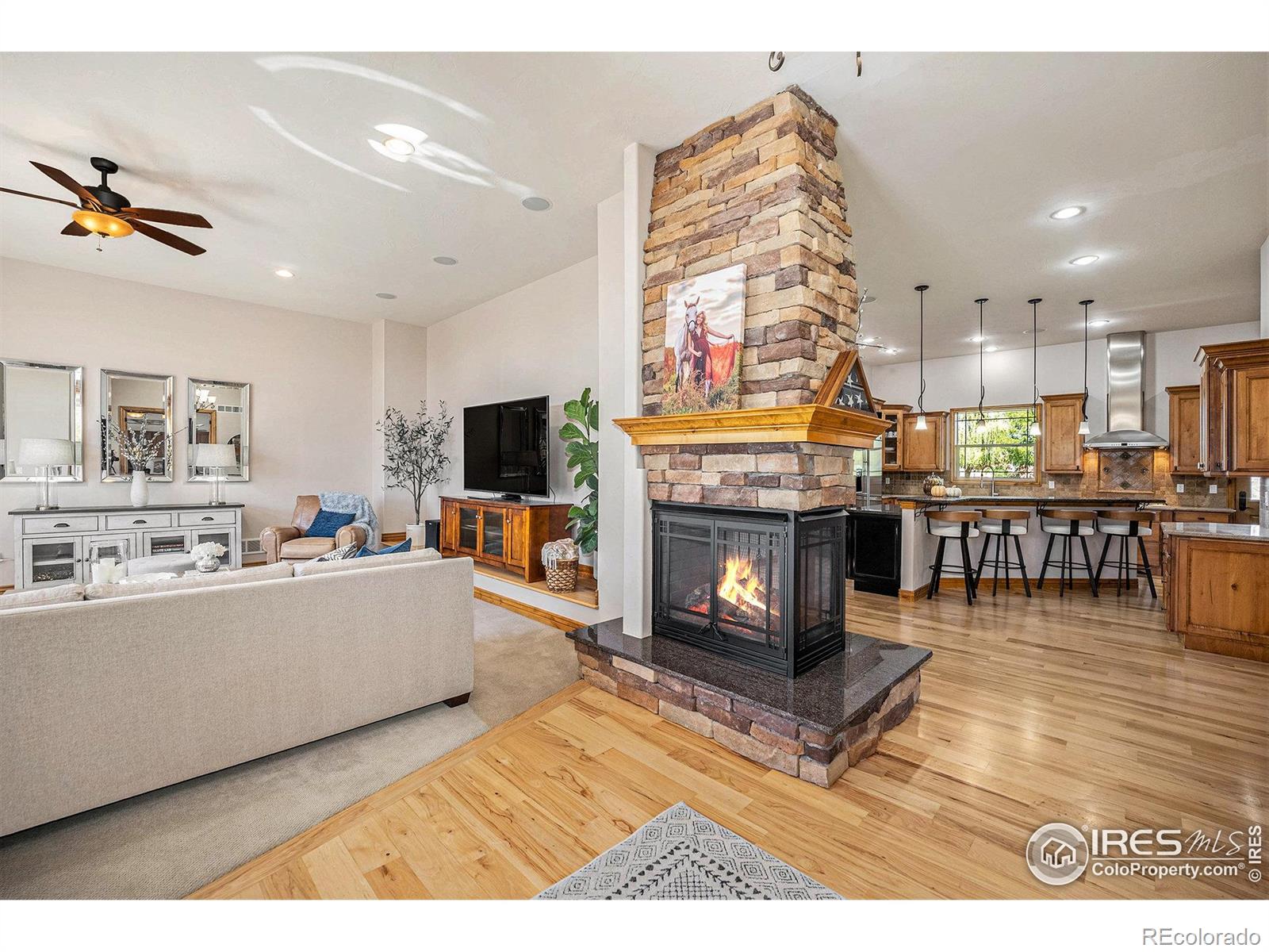 MLS Image #4 for 10305 e 146th place,brighton, Colorado