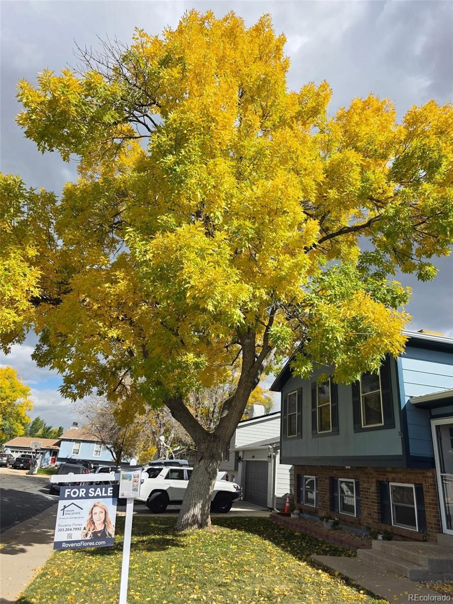 MLS Image #1 for 11062  fairfax circle,thornton, Colorado