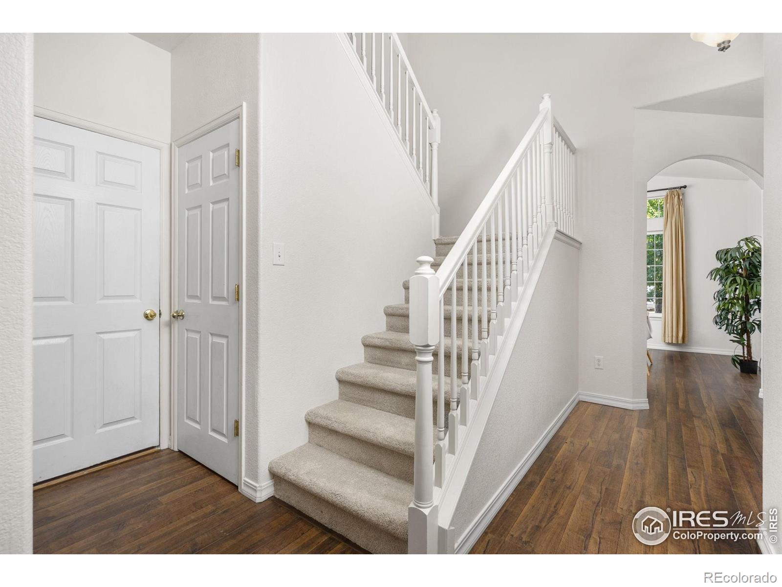MLS Image #6 for 2503  thoreau drive,fort collins, Colorado