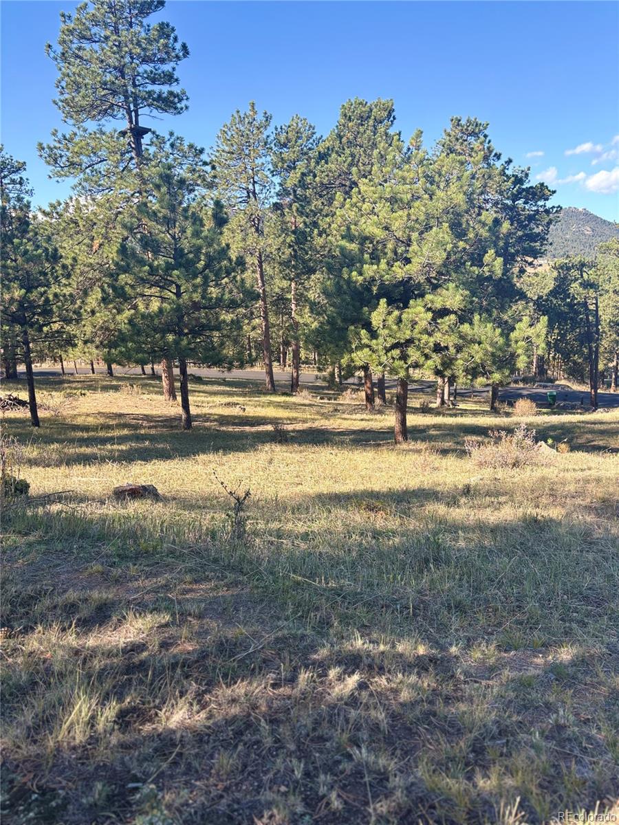 MLS Image #14 for 4374  picutis road,indian hills, Colorado
