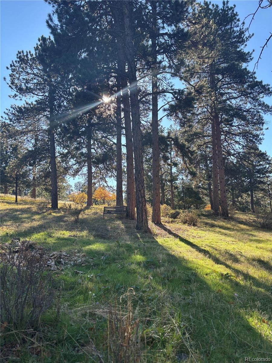 MLS Image #16 for 4374  picutis road,indian hills, Colorado