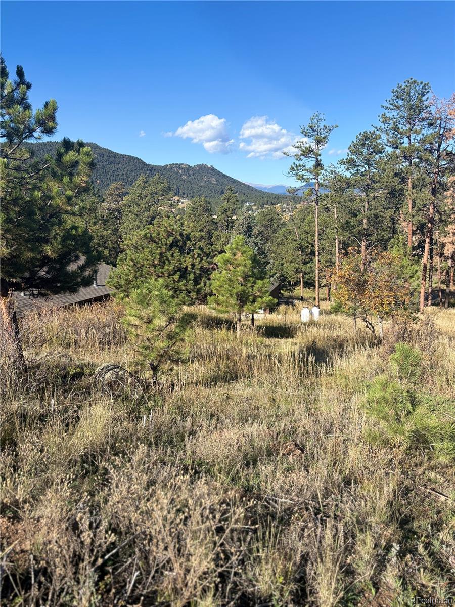 MLS Image #17 for 4374  picutis road,indian hills, Colorado