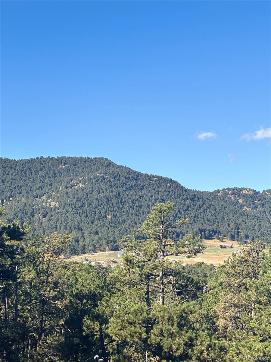 MLS Image #2 for 4374  picutis road,indian hills, Colorado