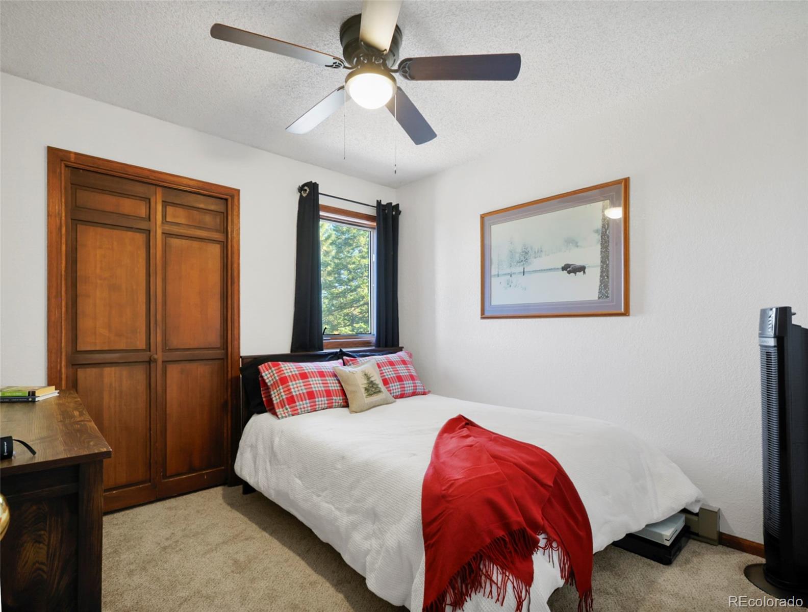 MLS Image #13 for 6573  iroquois trail,evergreen, Colorado