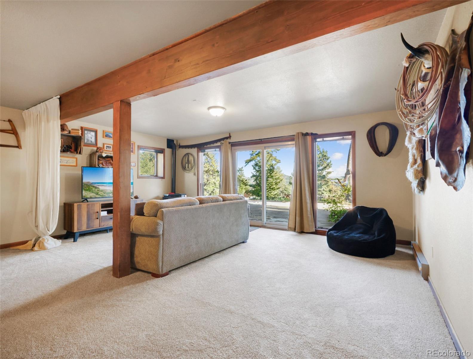 MLS Image #29 for 6573  iroquois trail,evergreen, Colorado