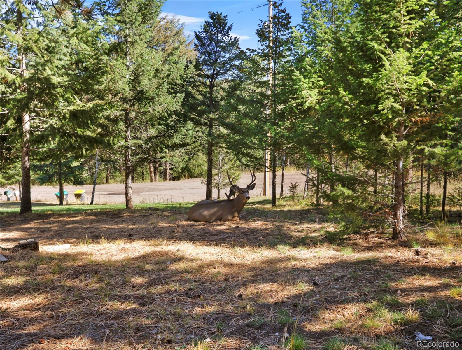 MLS Image #37 for 6573  iroquois trail,evergreen, Colorado