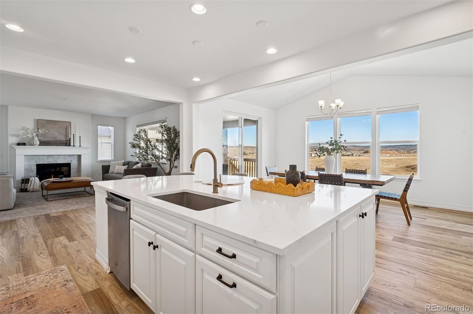 MLS Image #10 for 9180  fraser river street,littleton, Colorado