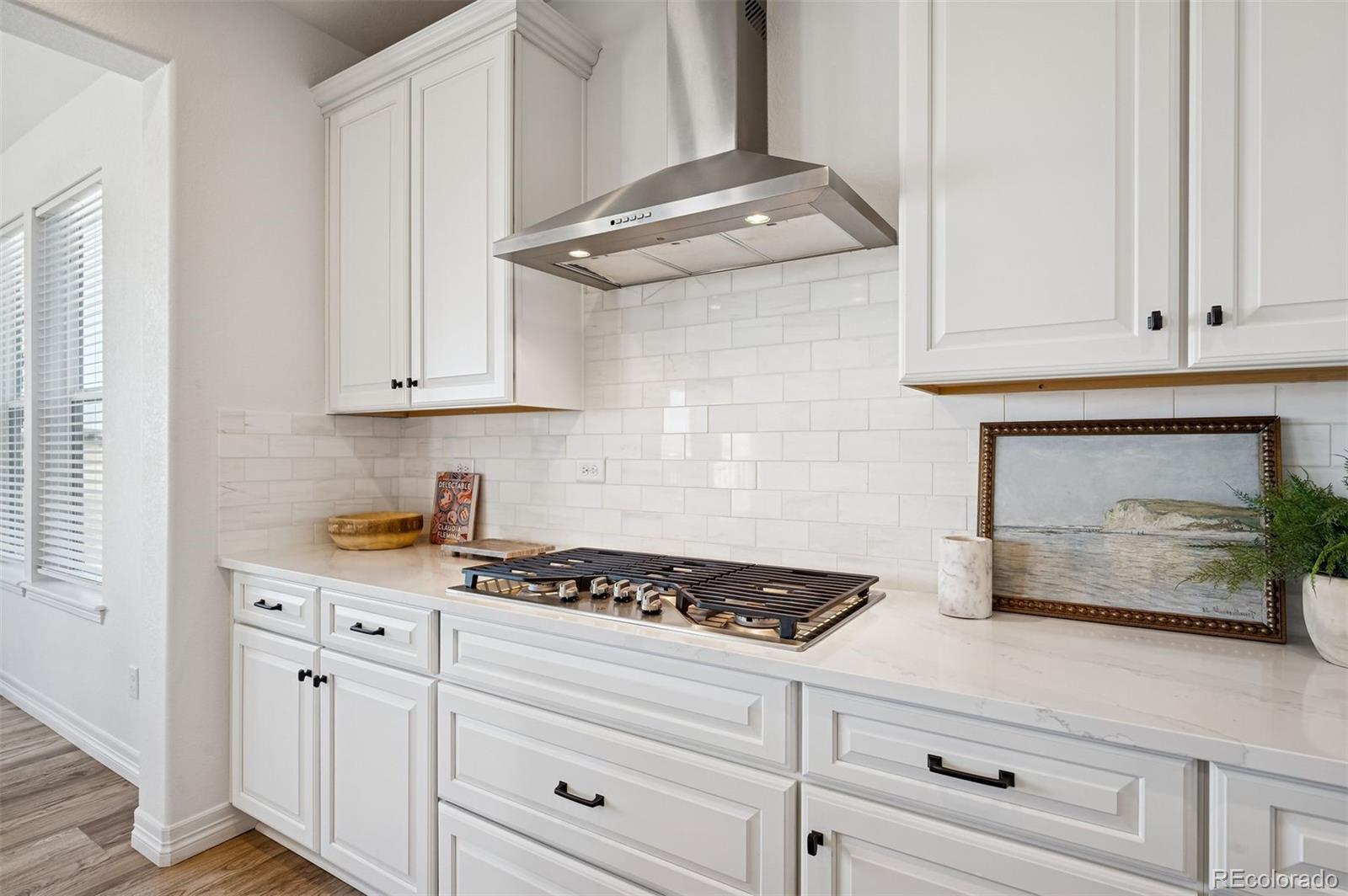 MLS Image #11 for 9180  fraser river street,littleton, Colorado