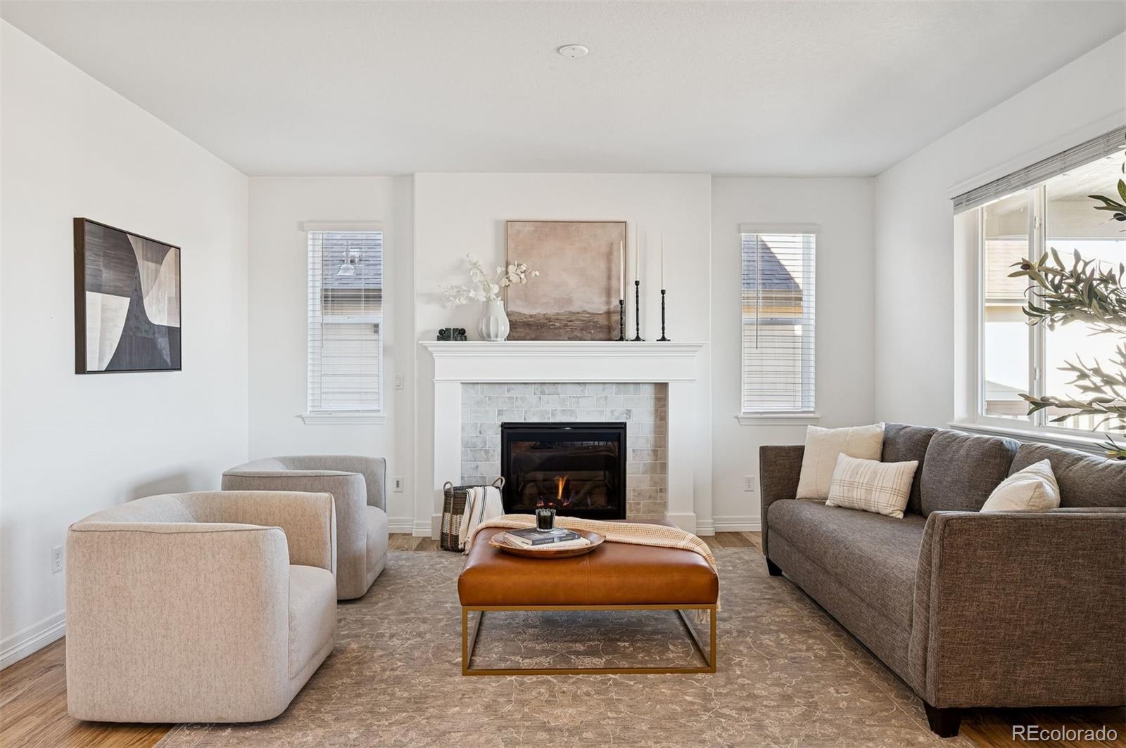 MLS Image #4 for 9180  fraser river street,littleton, Colorado