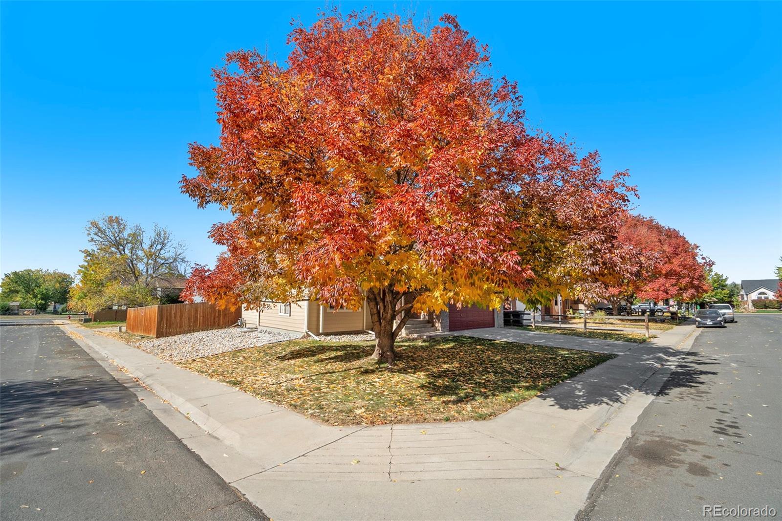 MLS Image #3 for 207  linden street,frederick, Colorado