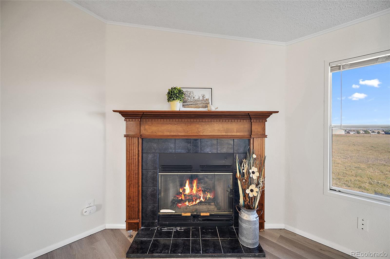 MLS Image #26 for 15125  ewing court,peyton, Colorado