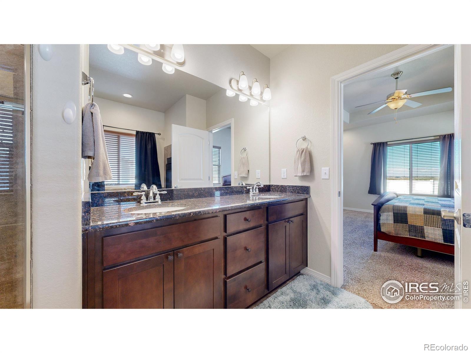 MLS Image #19 for 6074  carmon drive,windsor, Colorado
