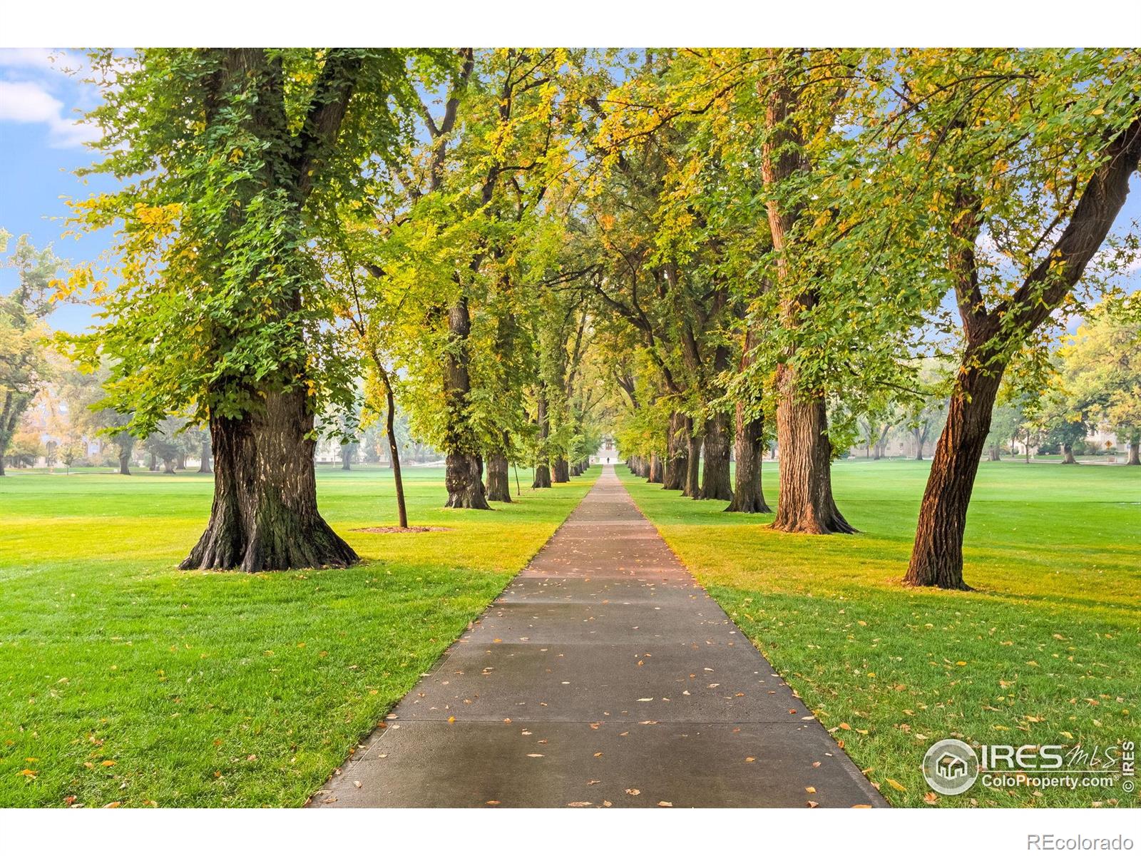 MLS Image #18 for 500  wood street,fort collins, Colorado