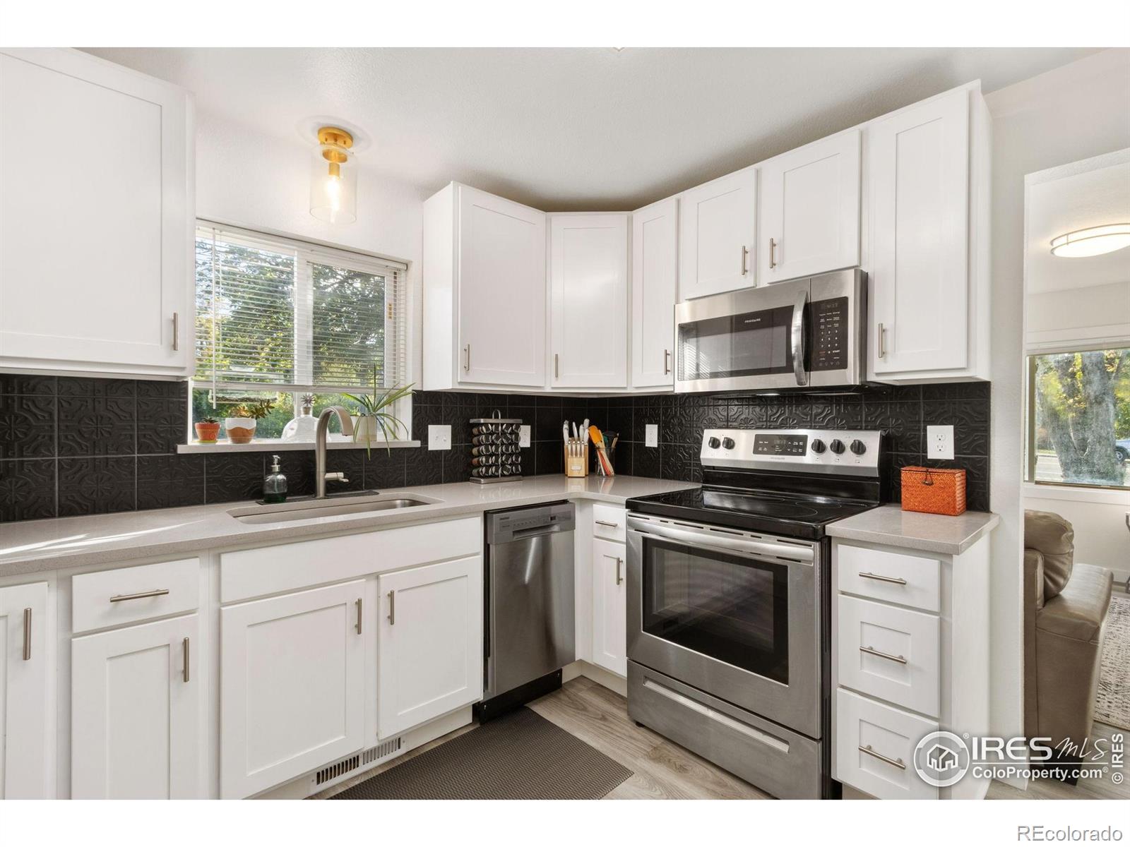 MLS Image #6 for 500  wood street,fort collins, Colorado