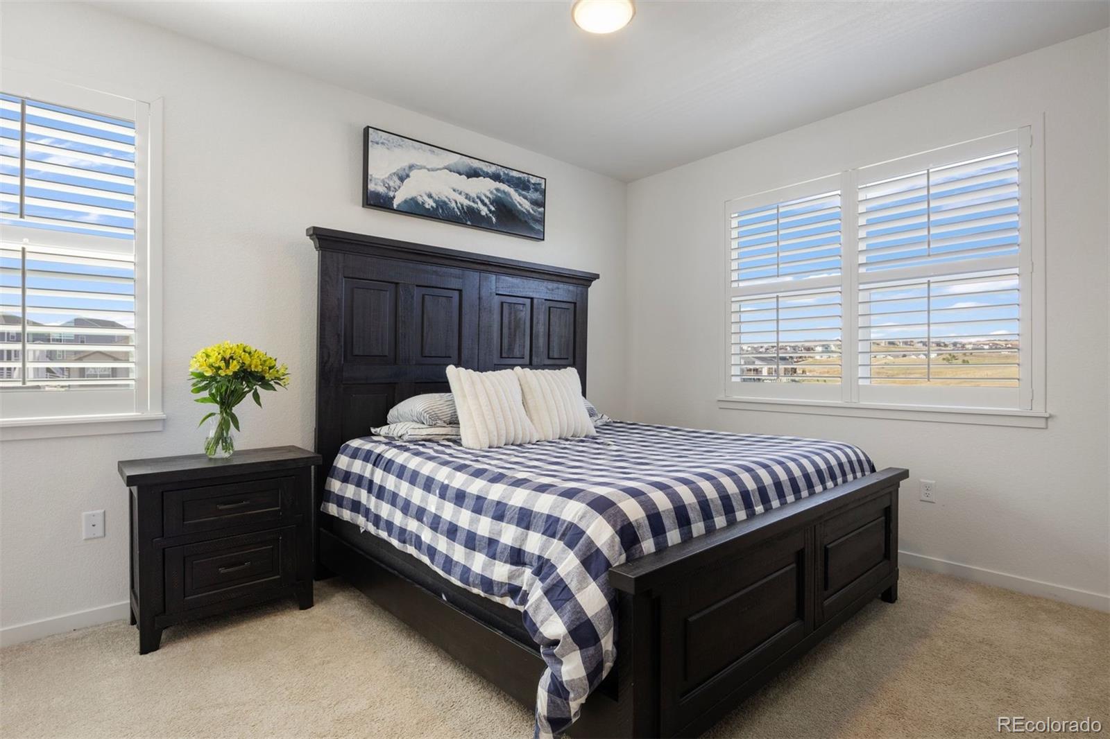 MLS Image #7 for 4475  cattle cross trail,castle rock, Colorado