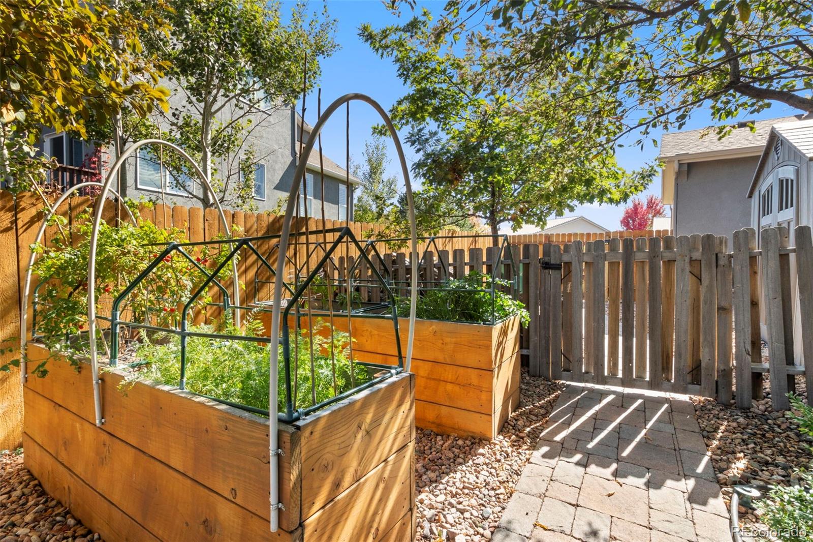 MLS Image #38 for 458  all sky drive,colorado springs, Colorado