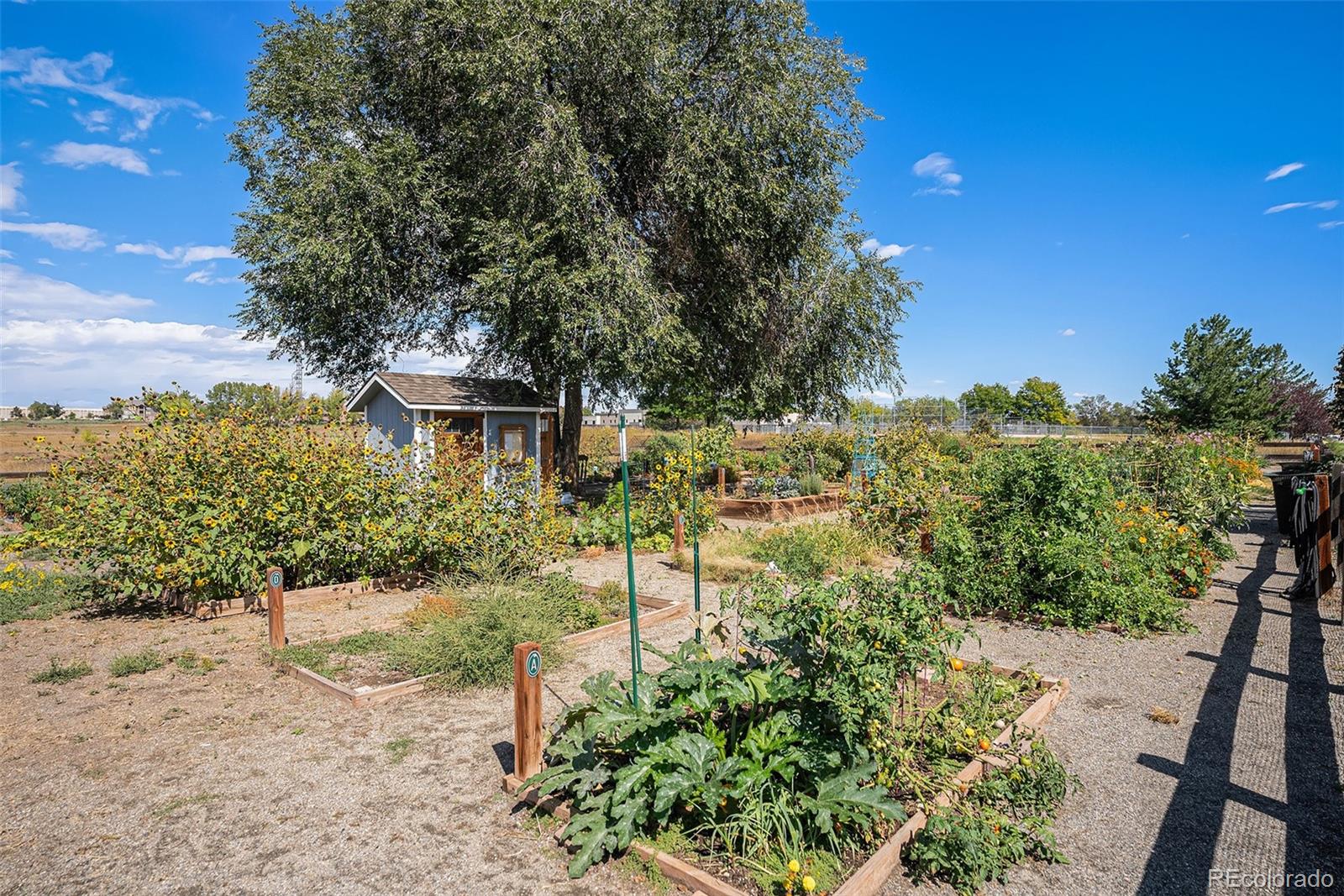 MLS Image #36 for 11301  navajo circle b,denver, Colorado