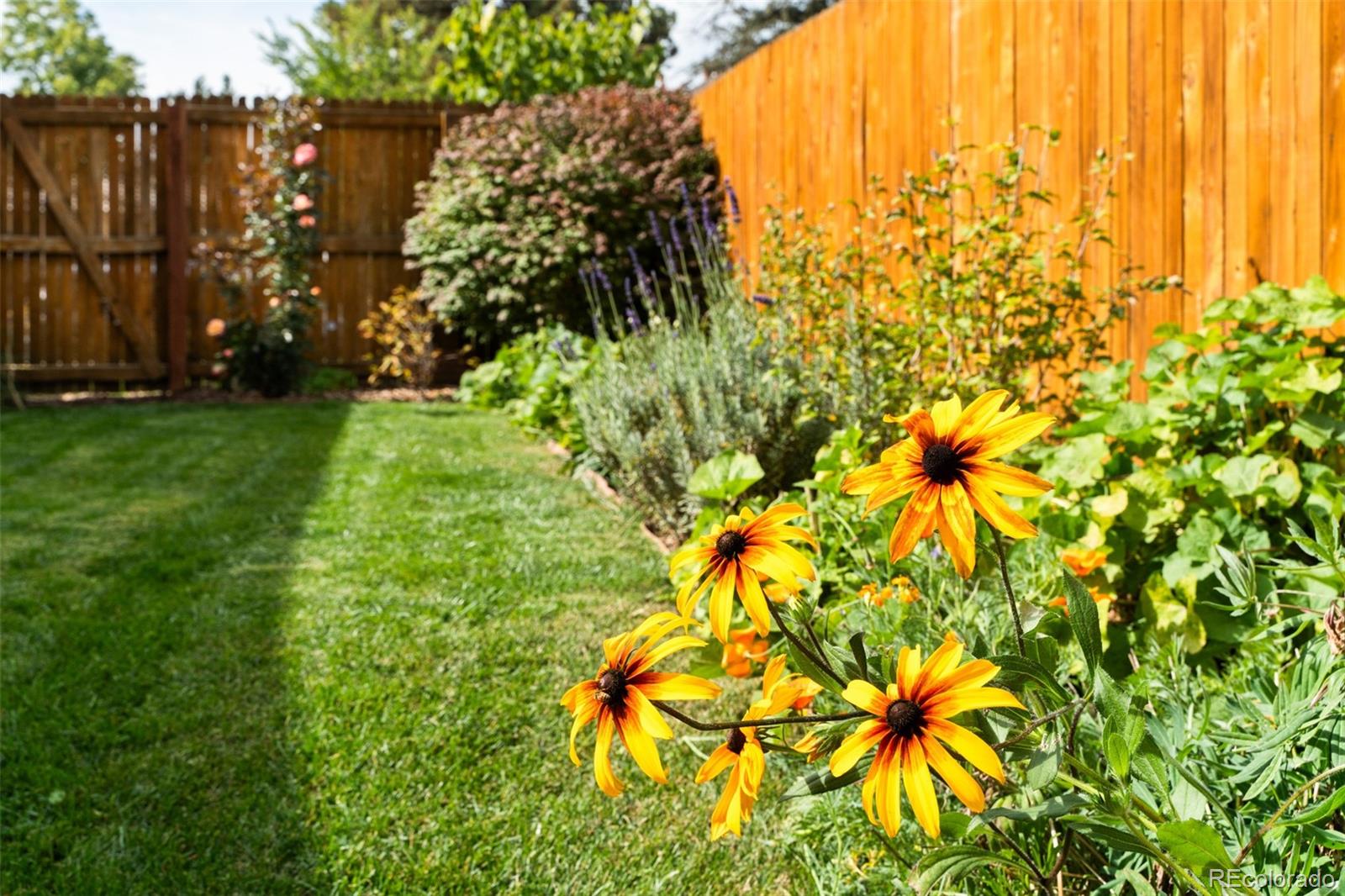 MLS Image #42 for 794 s pearl street,denver, Colorado