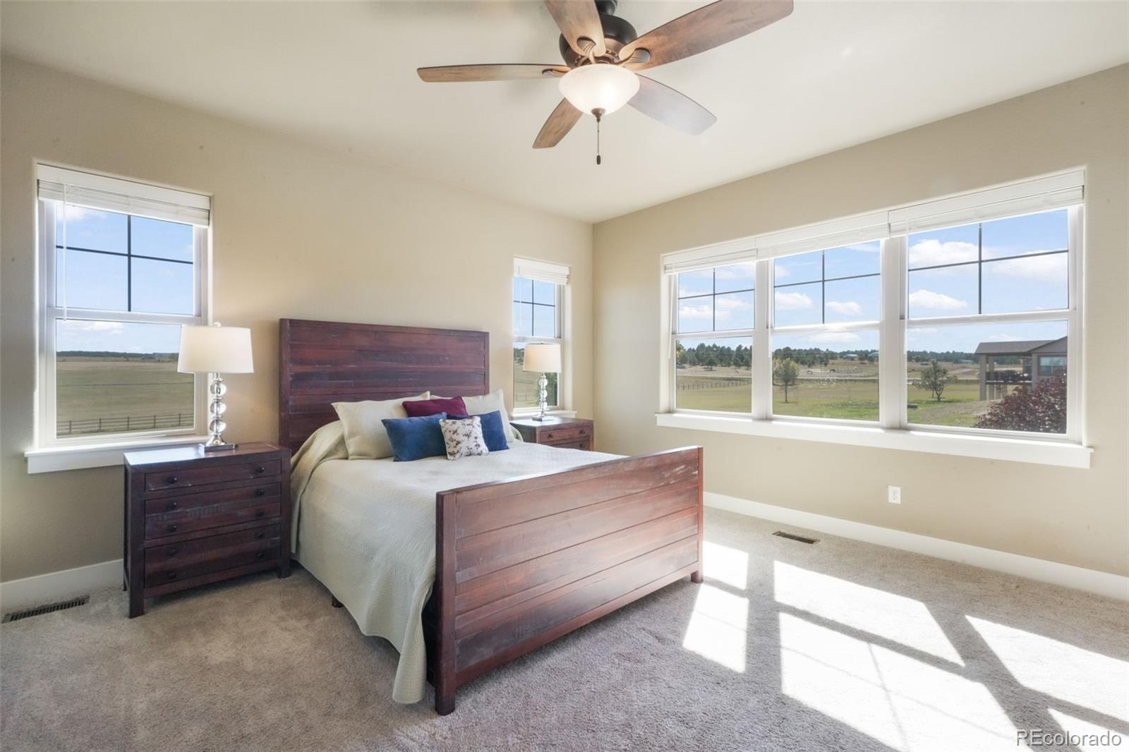 MLS Image #20 for 18561  cherry springs ranch drive,monument, Colorado