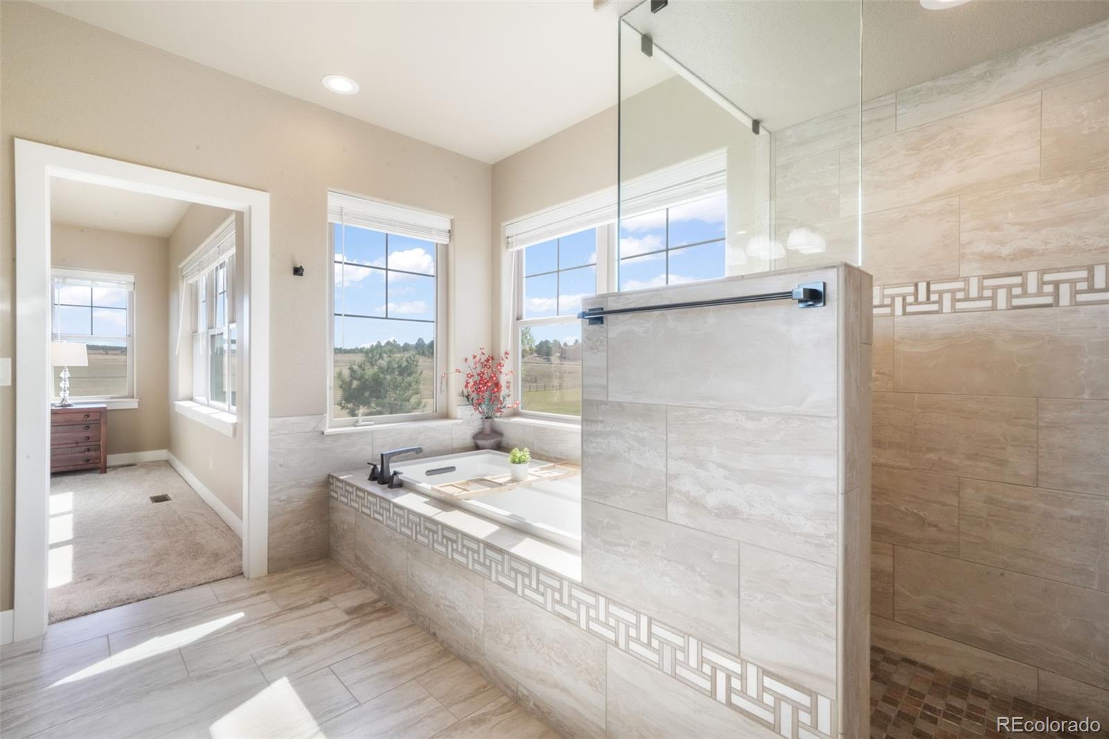 MLS Image #25 for 18561  cherry springs ranch drive,monument, Colorado