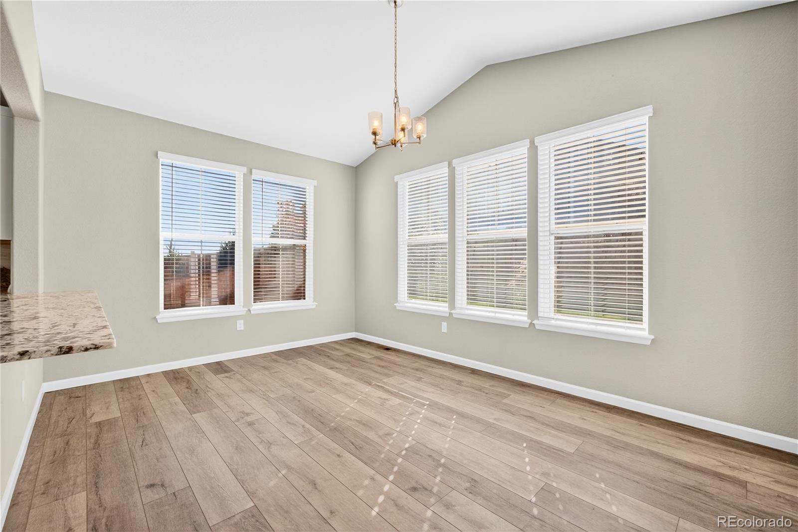 MLS Image #19 for 10867  mcharg court,parker, Colorado