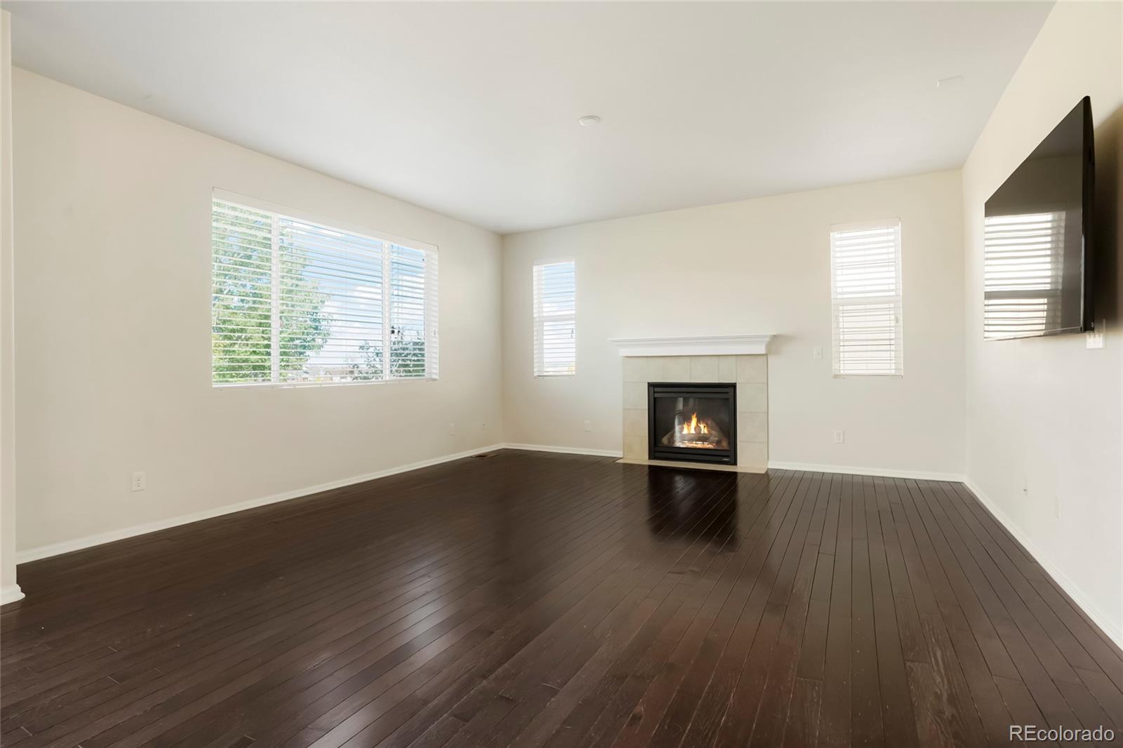 MLS Image #10 for 7799  grady circle,castle rock, Colorado