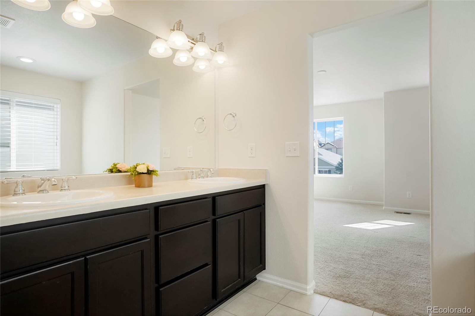 MLS Image #25 for 7799  grady circle,castle rock, Colorado