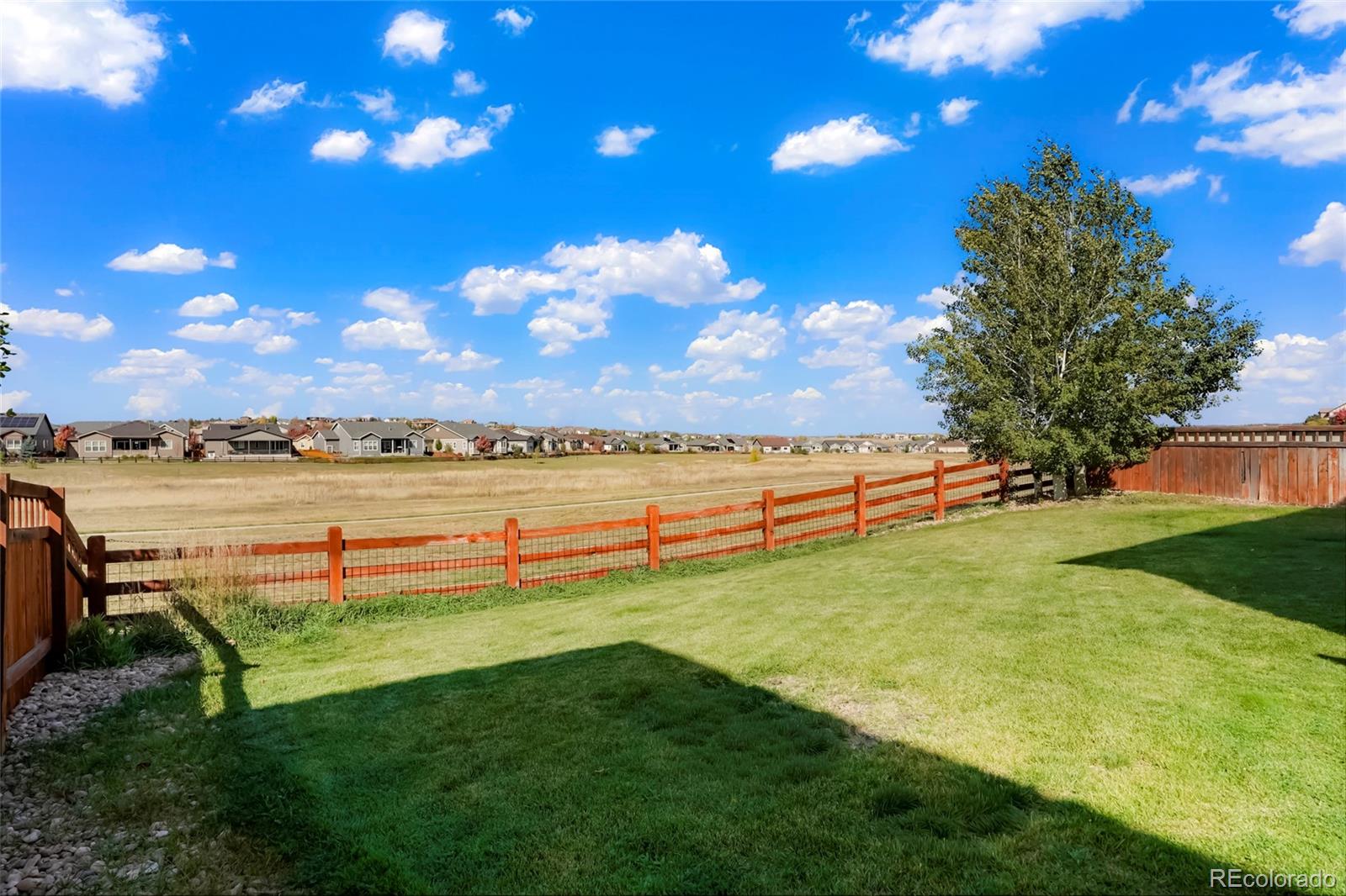 MLS Image #37 for 7799  grady circle,castle rock, Colorado