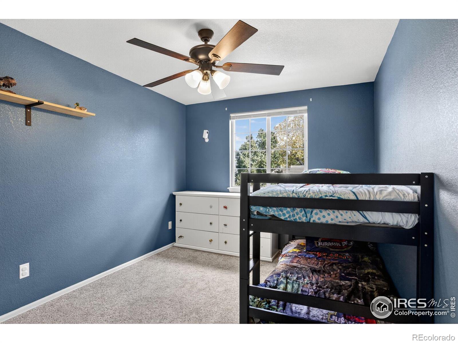 MLS Image #20 for 4885  barn owl drive,frederick, Colorado