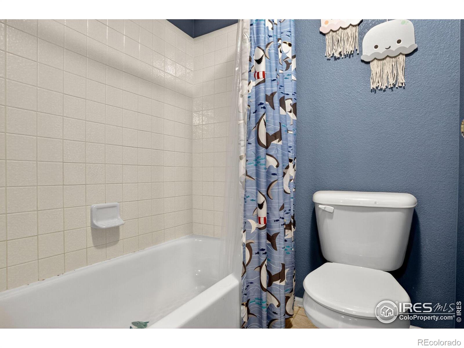 MLS Image #23 for 4885  barn owl drive,frederick, Colorado