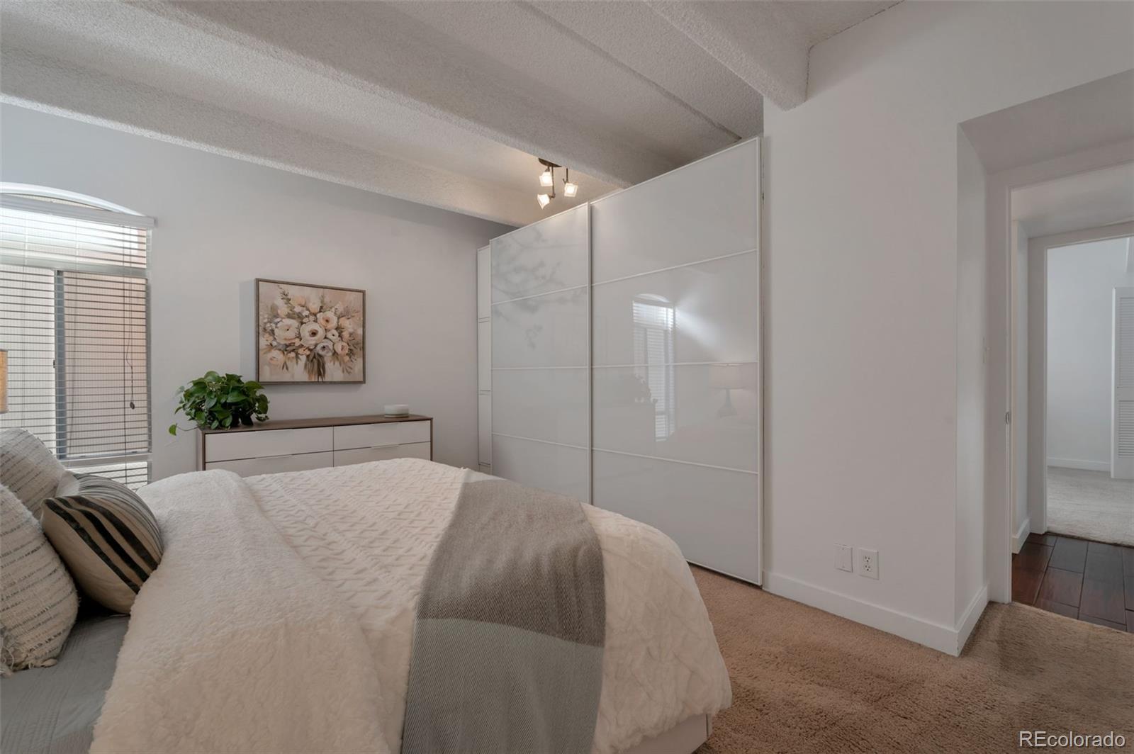 MLS Image #10 for 1365  columbine street 101,denver, Colorado