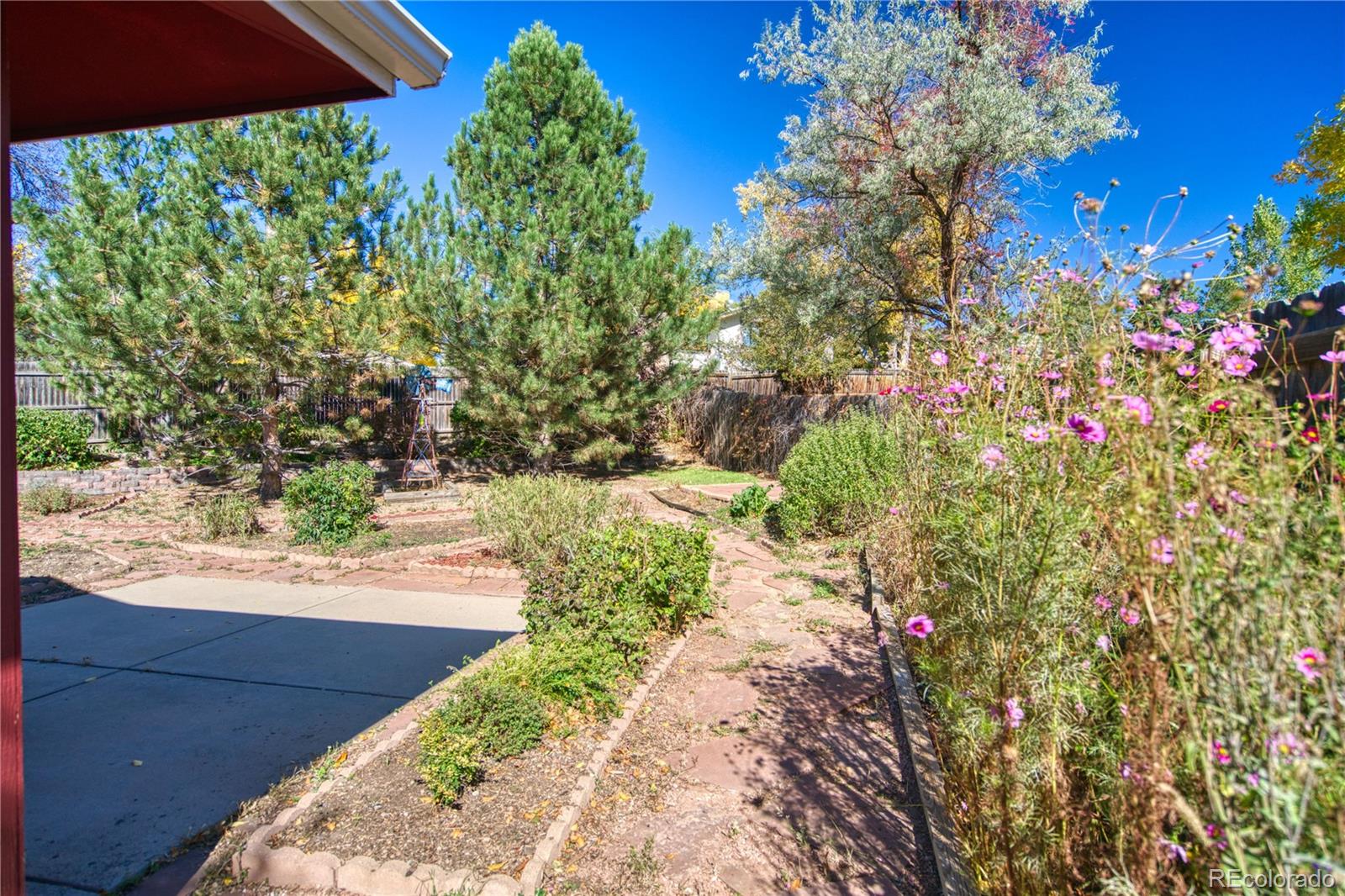 MLS Image #6 for 620  independence drive,longmont, Colorado