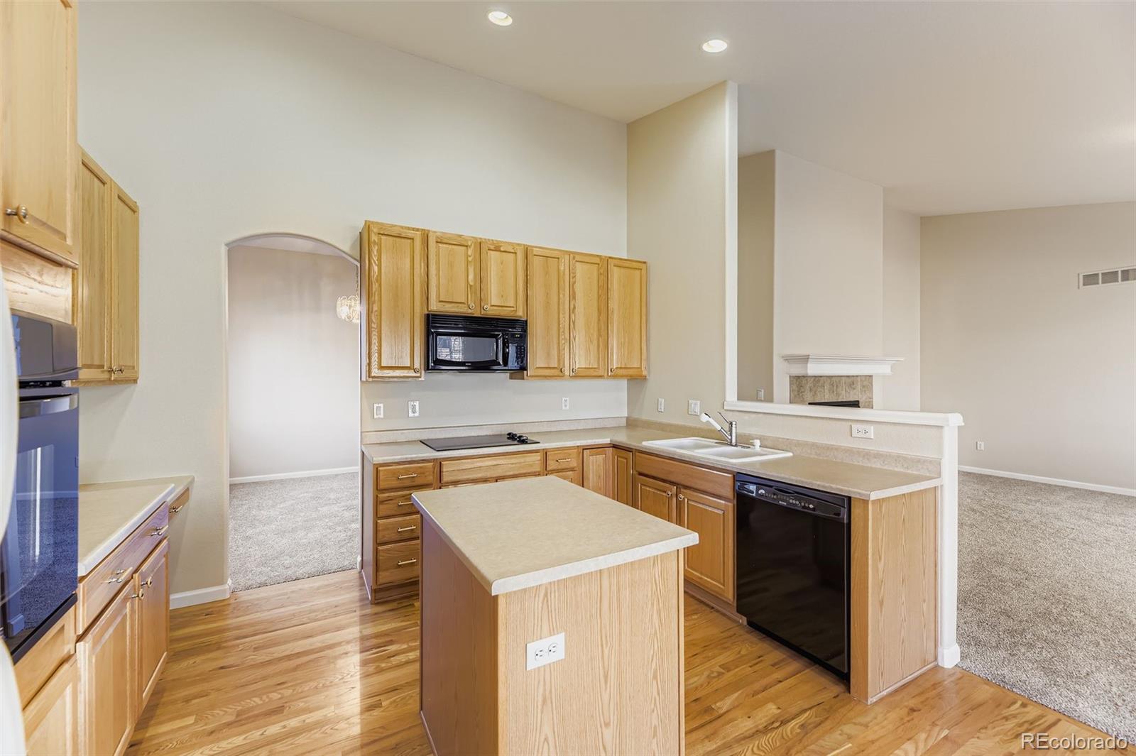MLS Image #11 for 21249  woodside lane,parker, Colorado