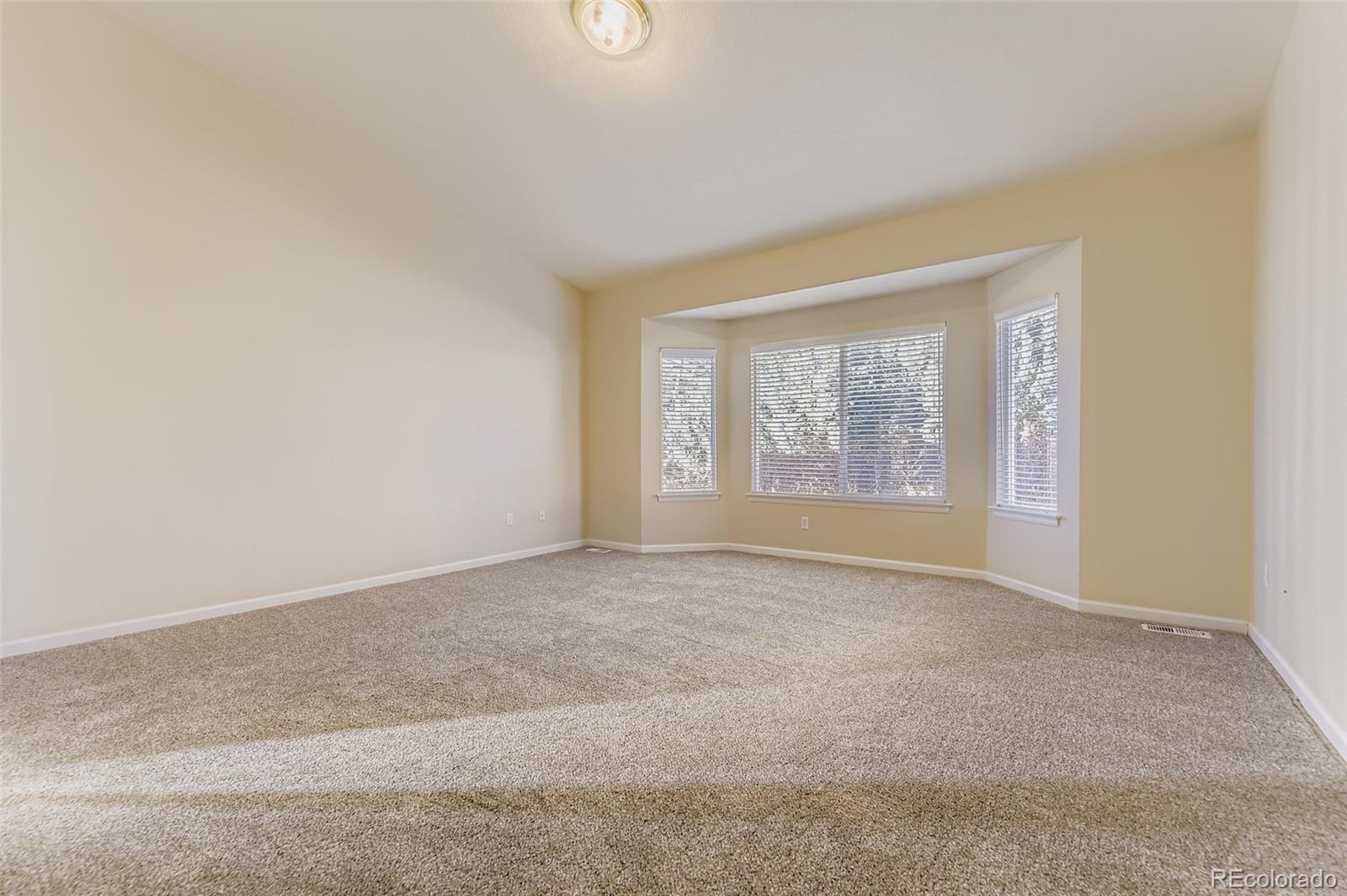 MLS Image #16 for 21249  woodside lane,parker, Colorado