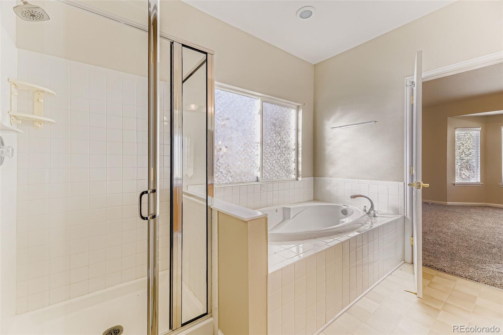 MLS Image #19 for 21249  woodside lane,parker, Colorado