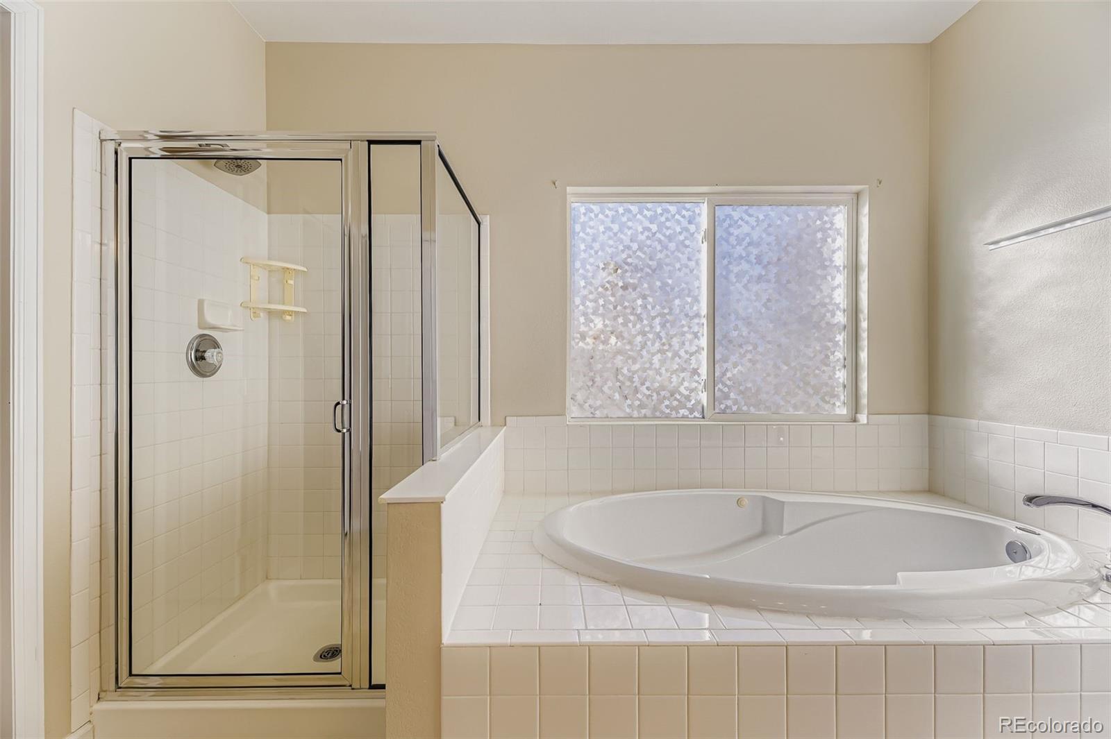 MLS Image #20 for 21249  woodside lane,parker, Colorado